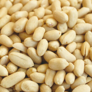 Round blanched peanuts