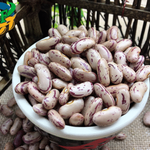 LIGHT SPECKLED KIDNEY BEANS (XINJIANG TYPE )