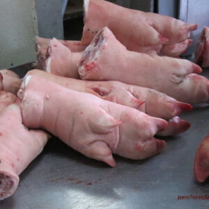 Frozen Pork feet