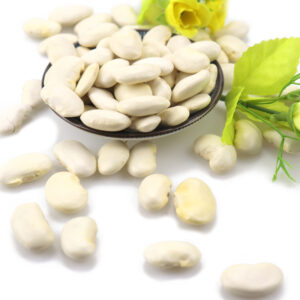 WHITE KIDNEY BEANS (MEDIUM TYPE)
