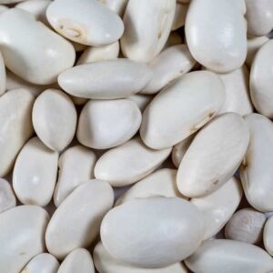 Big sized white kidney bean big