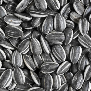 Grey Stripe Sunflower