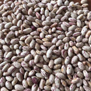 LIGHT SPECKLED KIDNEY BEANS (HUANAN ROUND)