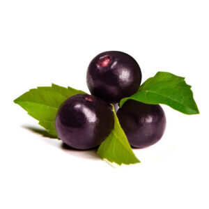 Dried Plum Acai