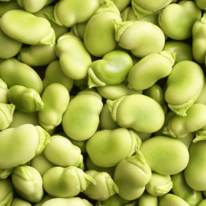 Broad Bean