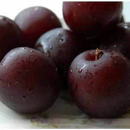 fresh-plums-500x500-1