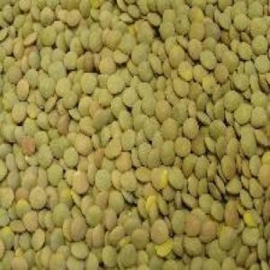 Green Lentil