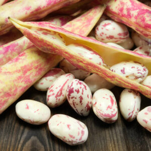 LIGHT SPECKLED KIDNEY BEANS (AMERICAN ROUND/CRANBERRY)